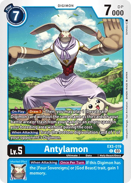 EX5-019