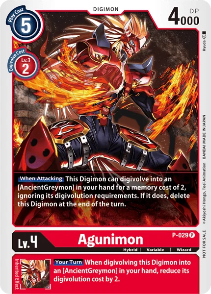 P-029