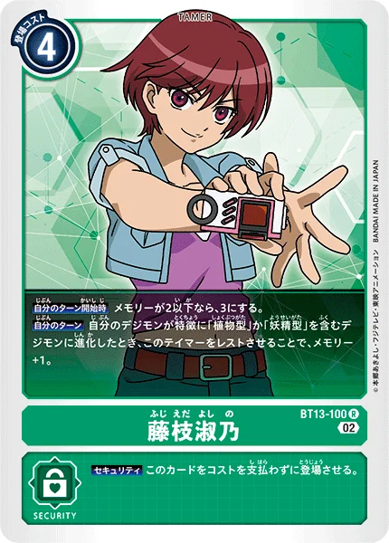 BT13-100 