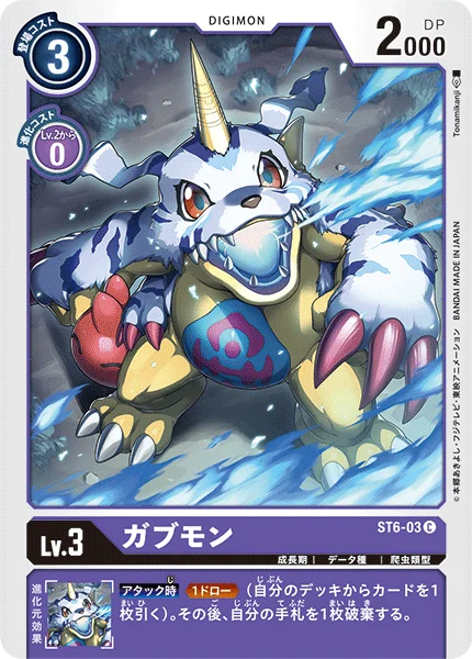 ST6-03 
