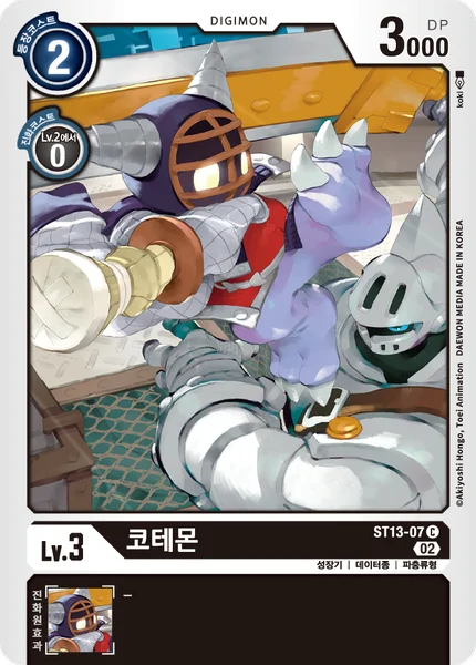 ST13-07 