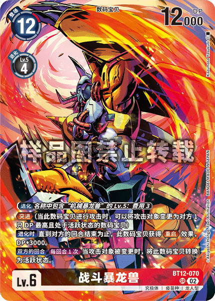 BT12-070_02
