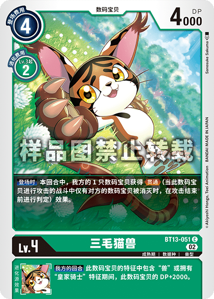 BT13-051