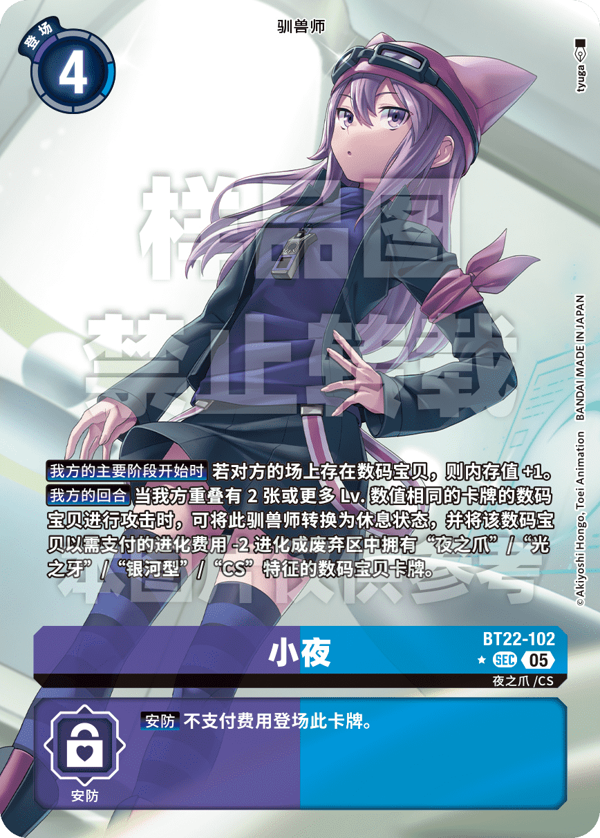 BT22-102_P