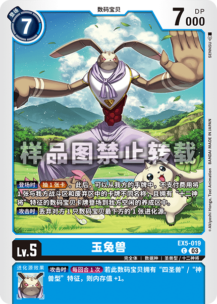 EX5-019 
