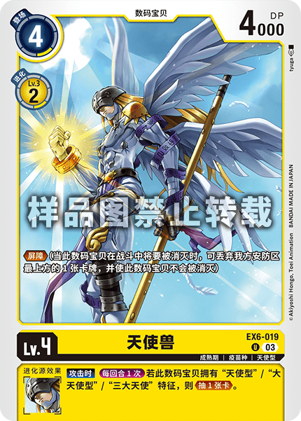 EX6-019