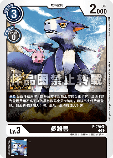 P-070