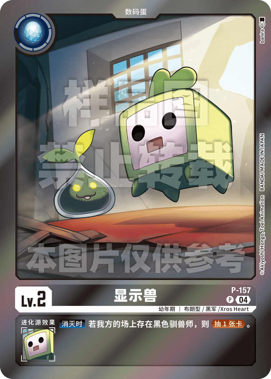 P-157_LM05