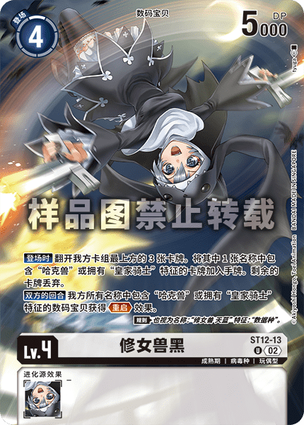ST12-13_01
