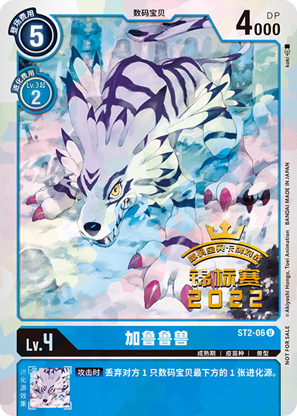 ST2-06_01 