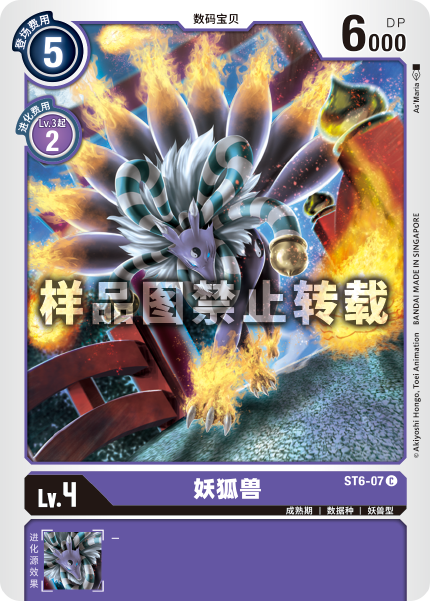 ST6-07 