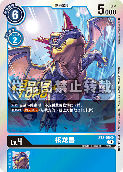 ST8-06_01 
